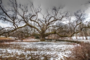 bedford oak