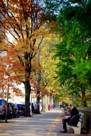 autumn in central park