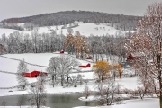 winter snow at the farm