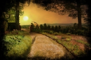 sunset-at the-field